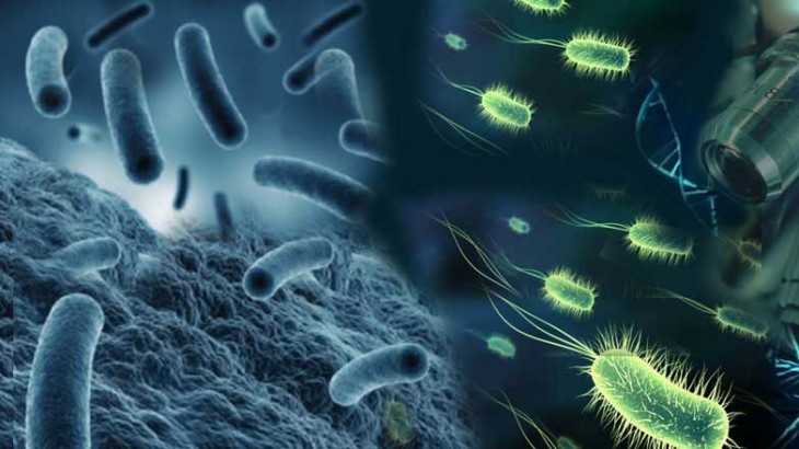 microbiologyezgrup